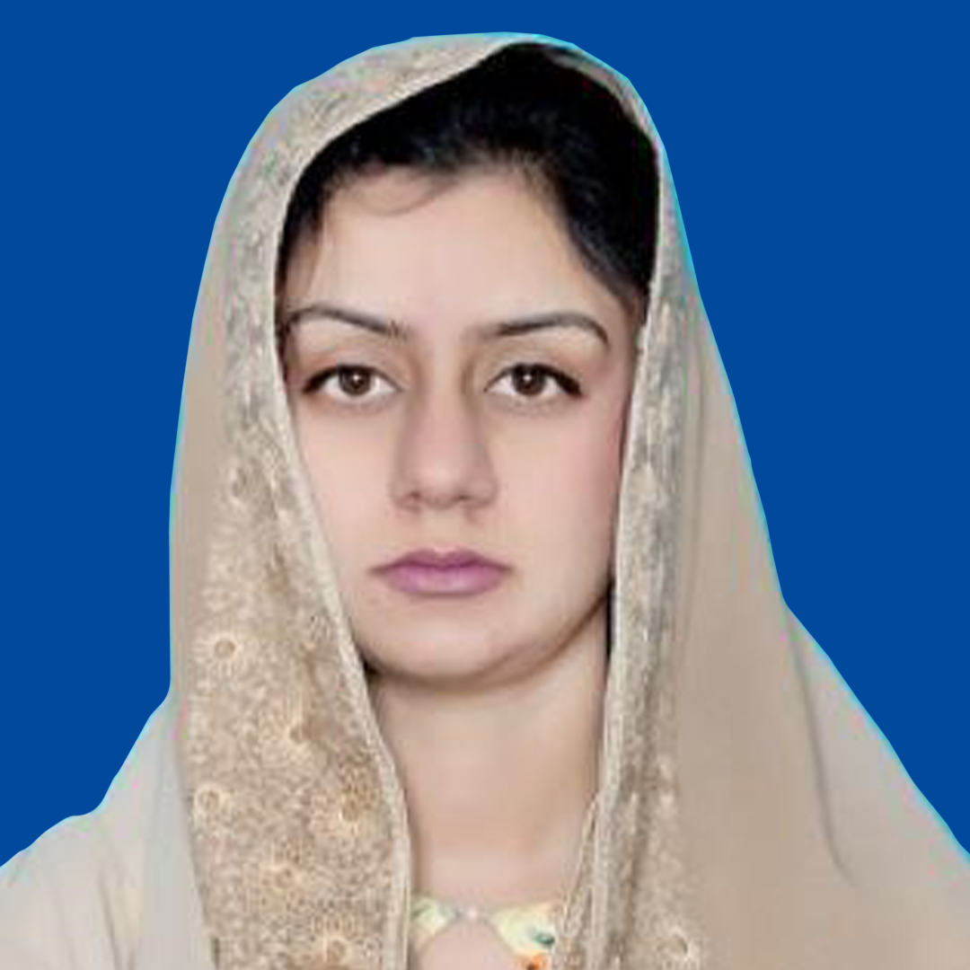 Kinzah Kanwal profile image