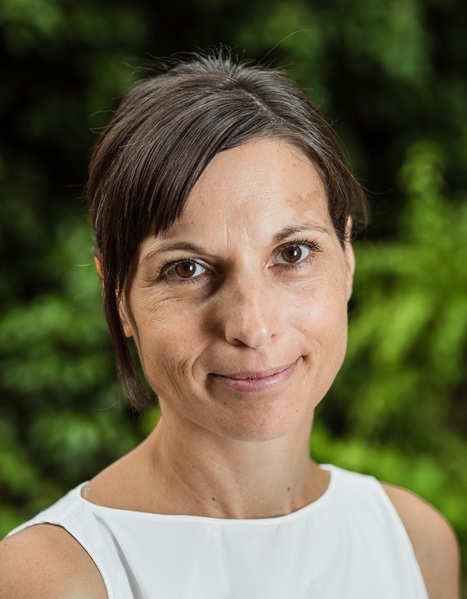 Accessing Urban Climate Finance City Academy